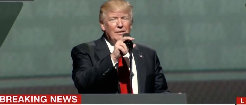 Donald Trump Address NRA Convention (Photo: MSNBC screen grab)