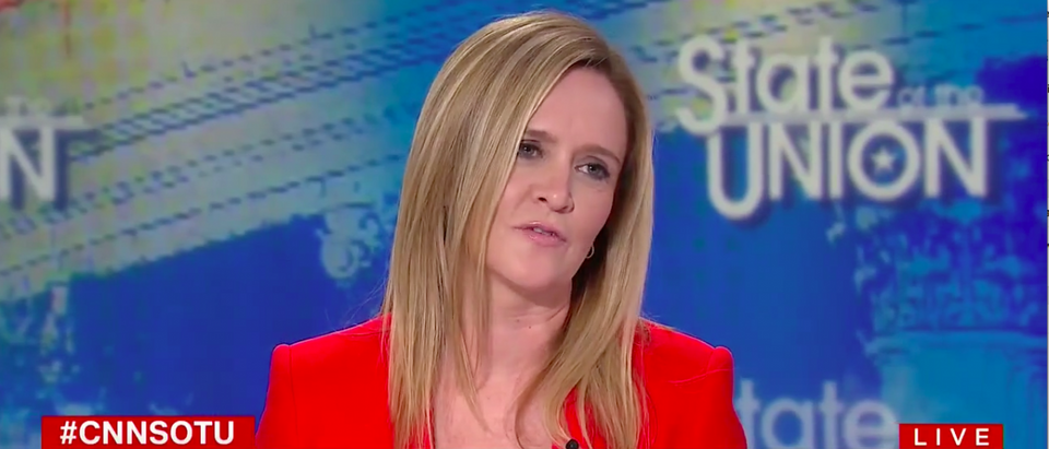 Samantha Bee on CNN's State of the Union with Jake Tapper (CNN screenshot)
