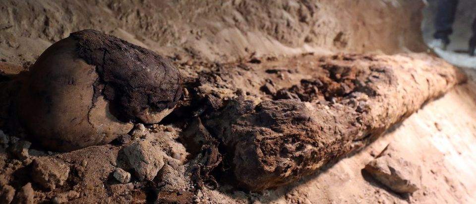 A mummy is seen inside the newly discovered burial site in Minya