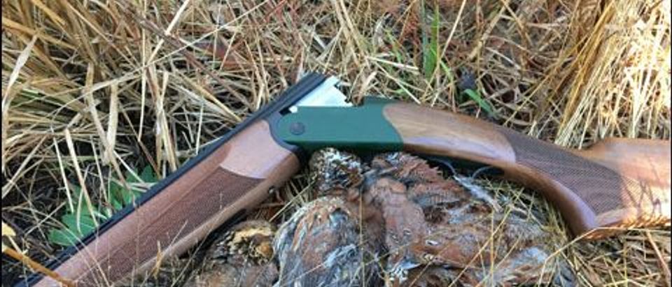 Field Test CZ Upland Ultralight Green The Daily Caller