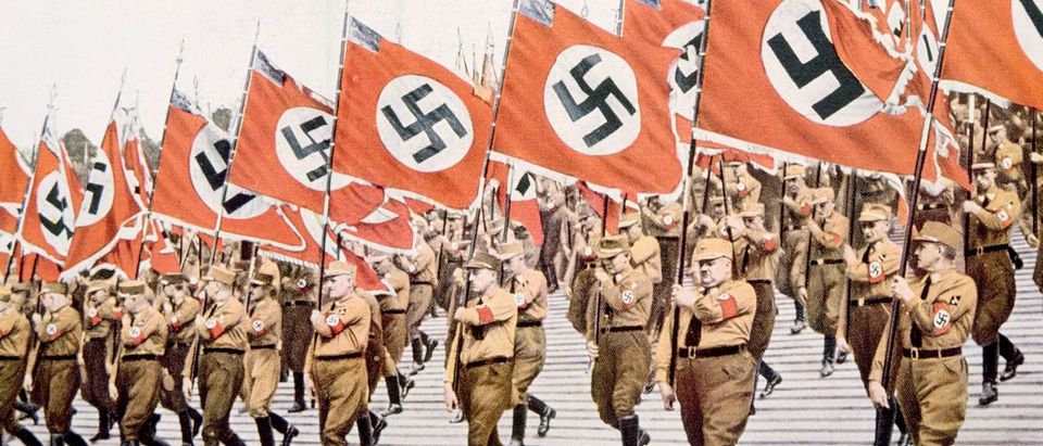 Nazi Germany, Entrance of the Nazi flagbearers at the Party Day rally in Nuremberg, 1933. (Shutterstock/Everett Historical)