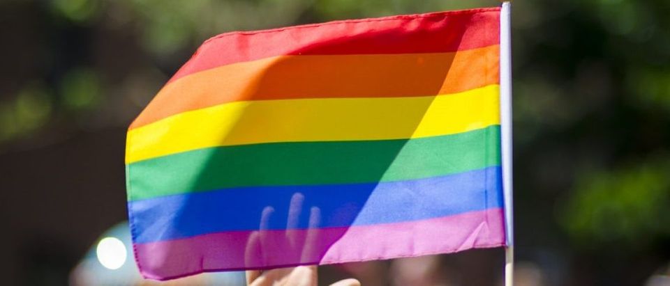 Gay pride (Shutterstock/lazyllama)