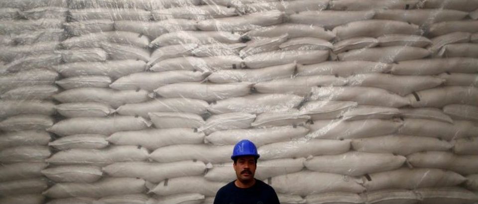 FILE PHOTO - A worker poses for a photo in front of sacks filled with sugar at Emiliano Zapata sugar mill in Zacatepec de Hidalgo
