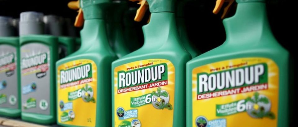 FILE PHOTO: Monsanto's Roundup weedkiller atomizers are displayed for sale at a garden shop at Bonneuil-Sur-Marne near Paris, France June 16, 2015. To match Special Report GLYPHOSATE-CANCER/DATA REUTERS/Charles Platiau/File Photo
