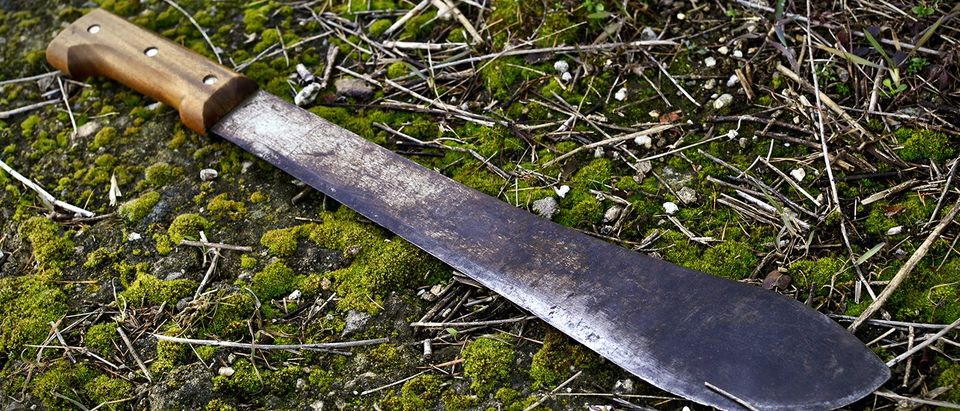 A machete lies on the ground. (Hristo Uzunov/Shutterstock)