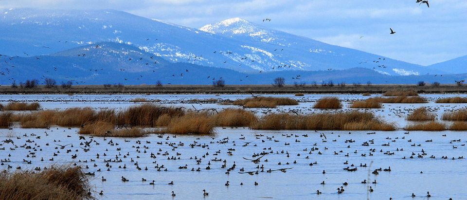 The Lower Klamath National Wildlife Refuge on the Oregon-California border is one of many examples of the west coast's breathtaking beauty (REUTERS/US Fish and Wildlife Service/Handout)