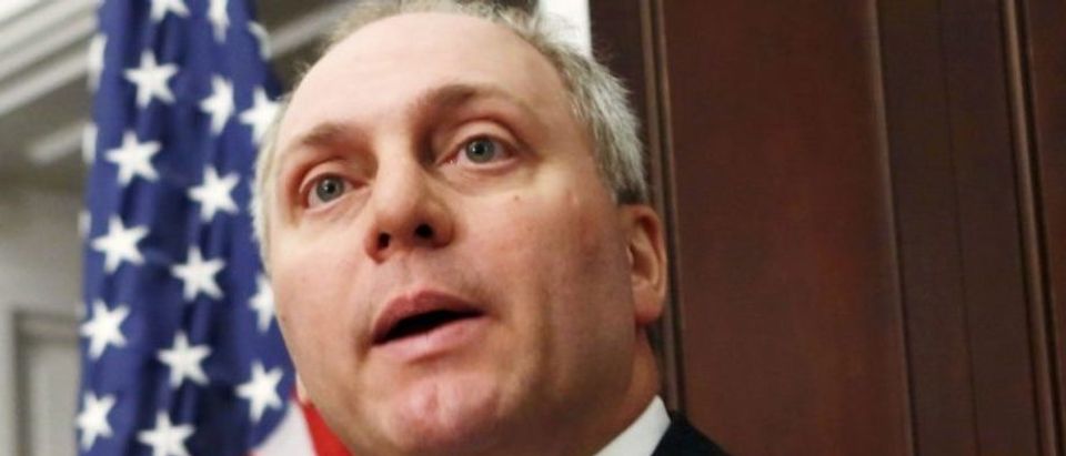 FILE PHOTO: House Majority Whip Steve Scalise (R-LA) speaks at a news conference on "Taxpayers Protection Alliance on Trade Promotion Authority" on Capitol Hill in Washington