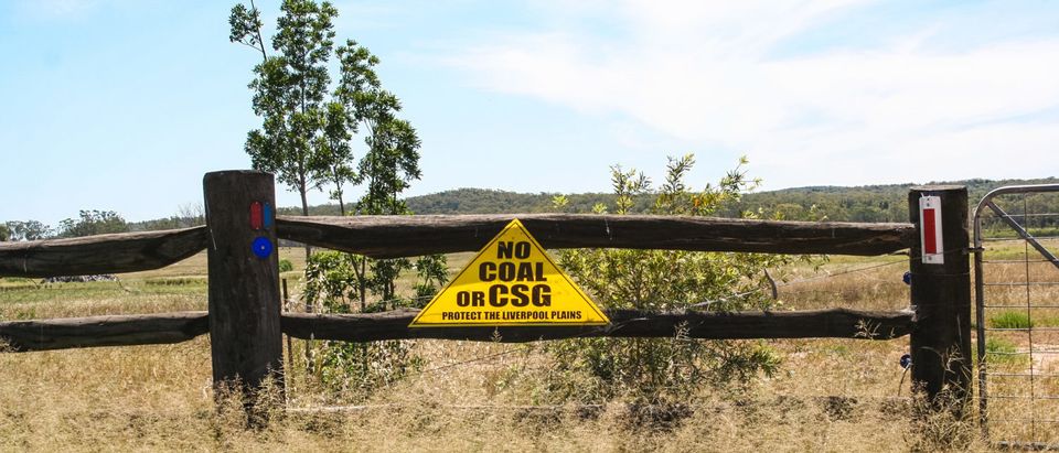 No coal or coal seam gas yellow triangle signs on wooden fence protesting coal seam gas development. Liverpool Plains, New South Wales, Australia. mantisdesign/Shutterstock