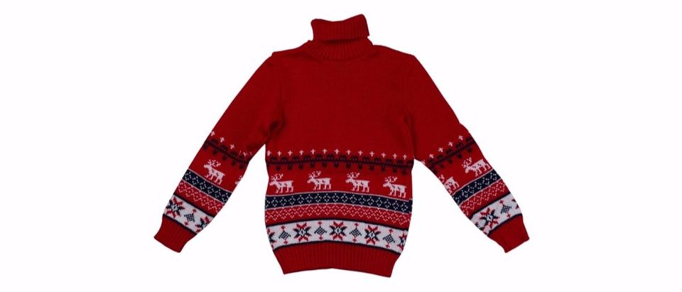sweater Shutterstock/Ruslan Kudrin