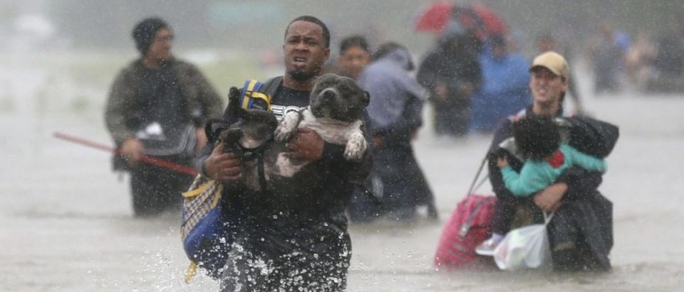 Isiah Courtney carries his dog Bruce through flood waters from Tropical Storm Harvey in Beaumont Place