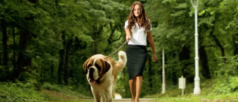 Woman walks big dog. (Youtube screenshot/Listopedia)