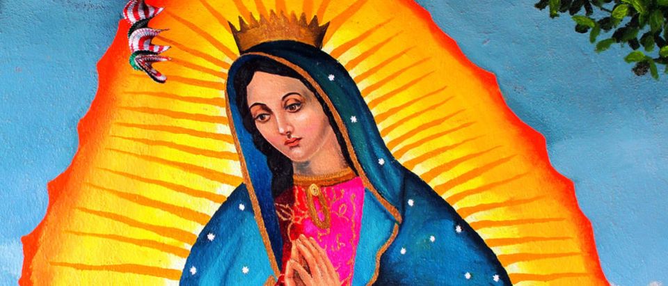 Our Lady Of Guadalupe Icon (Takamex/shutterstock_204643114)