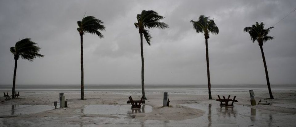 Palm trees sway as the wind blows and water rises at an evacuated recreational vehicle park as hurricane Irma approaches Fort Myers Beach