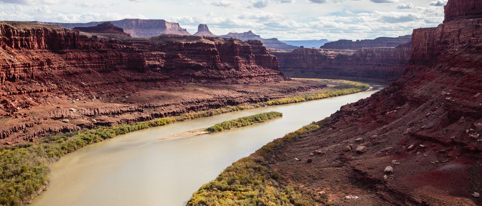 The Colorado river meanders through the red rock cliffs near Moab.