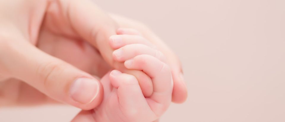 The hands of mother and baby are captured closeup. (Shutterstock)