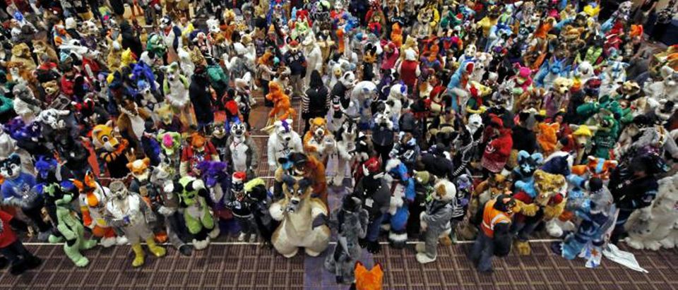 An attendee dress up as a fox moves into position for a group photo at the Midwest FurFest in the Chicago suburb of Rosemont, Illinois, December 5, 2015. REUTERS/Jim Young