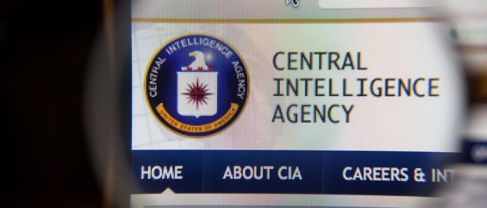 CIA Logo (Credit: Shutterstock)