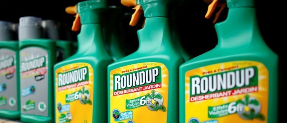 FILE PHOTO: Monsanto's Roundup weedkiller atomizers are displayed for sale at a garden shop at Bonneuil-Sur-Marne near Paris, France, June 16, 2015. REUTERS/Charles Platiau/File Photo
