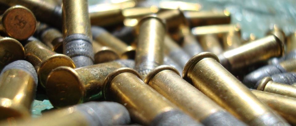 Bullets Up close (ShutterStock/Thanatos Media)