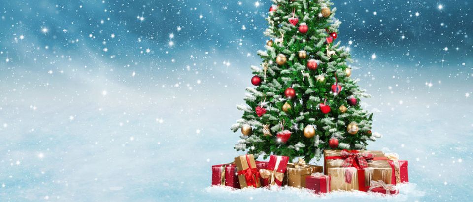 Christmas Tree (Credit: Shutterstock)