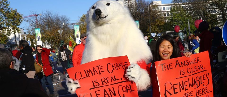 A protester dressed as a polar bear attends a demonstration under the banner "Protect the climate - stop coal" two days before the start of the COP 23 UN Climate Change Conference hosted by Fiji but held in Bonn, Germany November 4, 2017. REUTERS/Wolfgang Rattay
