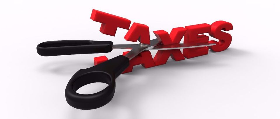 tax cut Shutterstock/Solcan Design