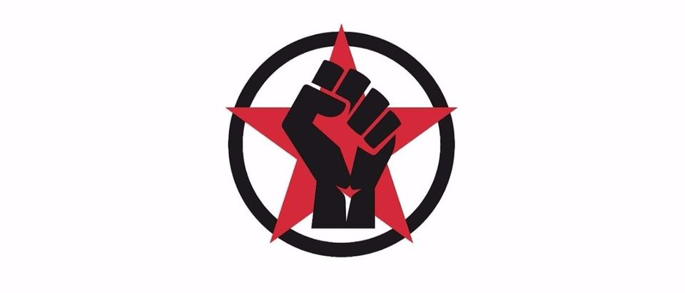 union fist Shutterstock/paramouse