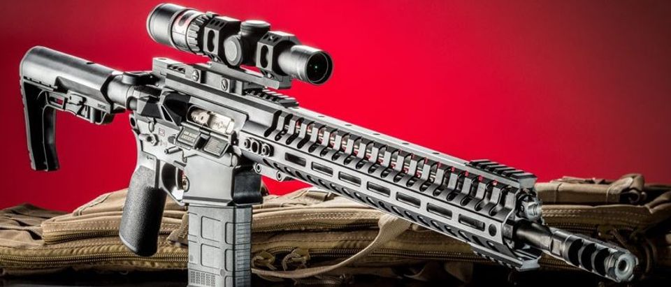 Link to Gun Test: POF-USA Revolution Rifle.