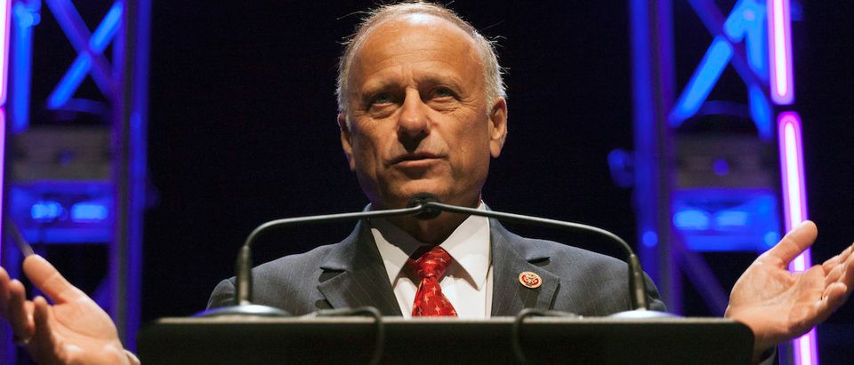 Congressman Steve King speaks at the Family Leadership Summit in Ames, Iowa August 9, 2014. The pro-family Iowa organization is hosting the event in conjunction with national partners Family Research Council Action and Citizens United. REUTERS/Brian Frank