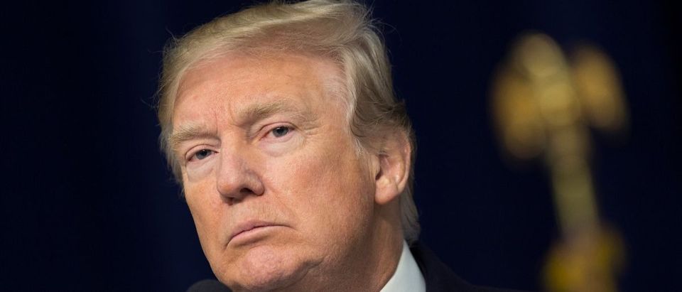 Donald Trump Getty Images/Chris Kleponis