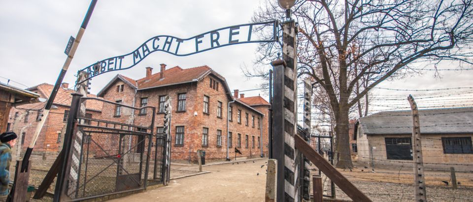 German leaders propose making refugees visit concentration camps to quell anti-Semetic sentiment