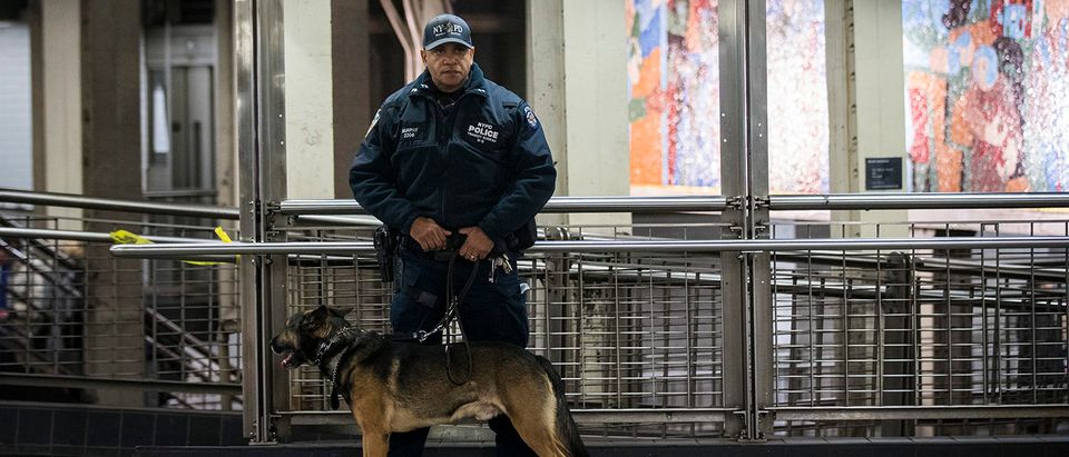 Terror Suspect Explodes Bomb At NY's Port Authority Bus Terminal