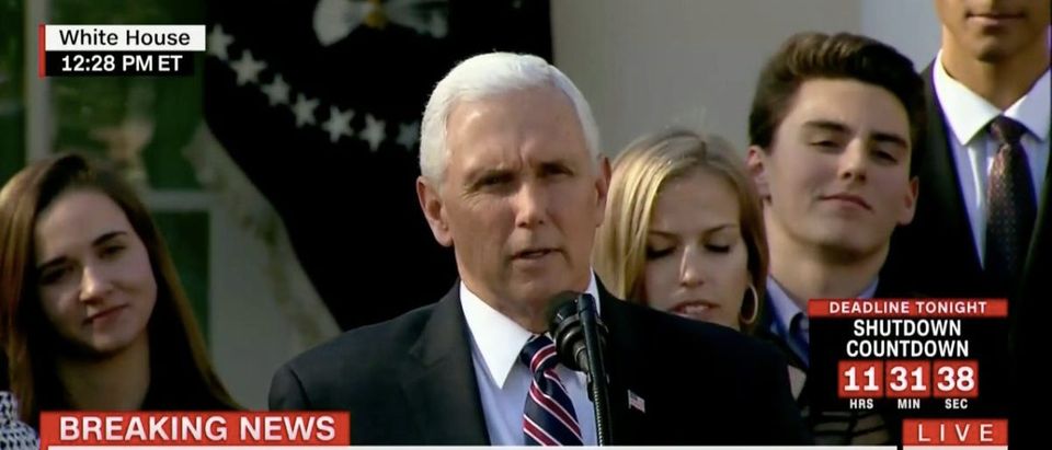 Mike Pence Speaks At March For Life