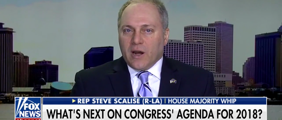 Steve Scalise Stressed Welfare Reform and border security in 2018 on Fox and Friends 1-02-18