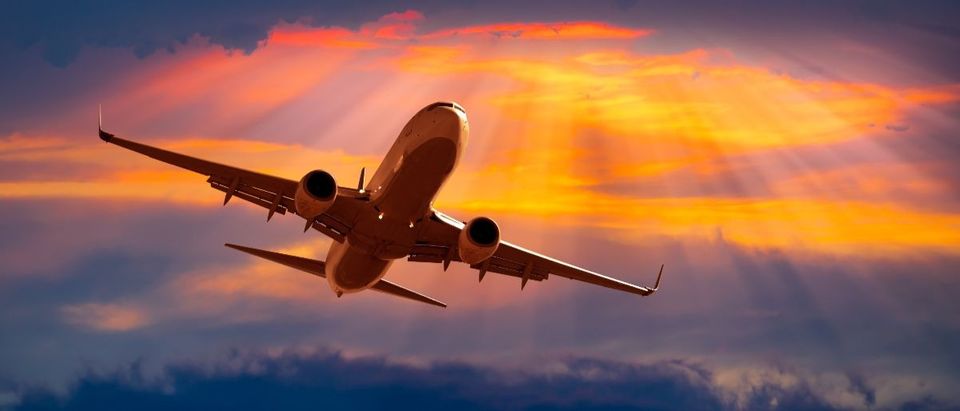 air travel Shutterstock/muratart