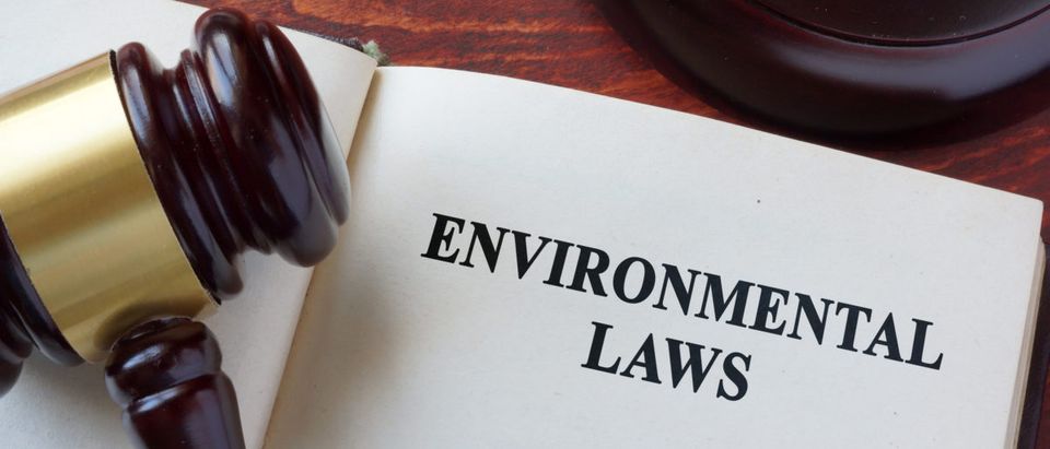 The mayor of Imperial Beach, Calif., the first city to sue oil companies over global warming, heads an environmental group that may benefit if the city wins, according to an industry group opposed to the lawsuits. Source: designer491/Shutterstock