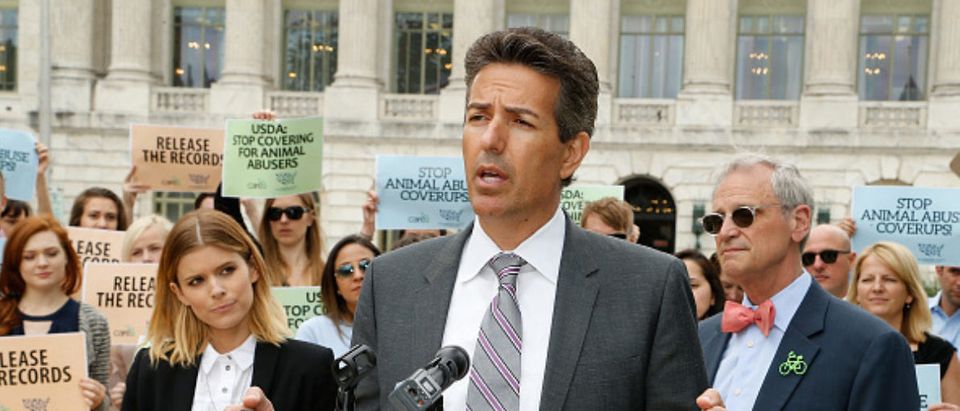 WASHINGTON, DC - JUNE 07: Wayne Pacelle, CEO HSUS, speaks at The Humane Society of the United States' rally at USDA on June 7, 2017 in Washington, DC. Advocates rallied to urge USDA to restore online records of animal welfare violations. (Photo by Paul Morigi/Getty Images for The Humane Society of the United States )