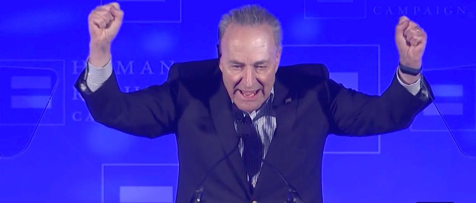 Senate Minority Leader Chuck Schumer speaks at a Human Rights Campaign event February 3, 2018. (Photo: Screenshot/Human Rights Watch/YouTube)