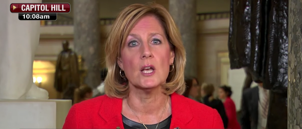 New York Republican Rep. Claudia Tenney said Democrats are more likely to be mass murderers in comparison to Republicans, in an interview Wednesday. (Screen Shot/Youtube/Claudia Tenney)