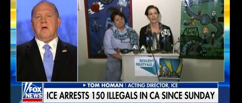 Thomas Homan ICE (Screenshot/Fox News)