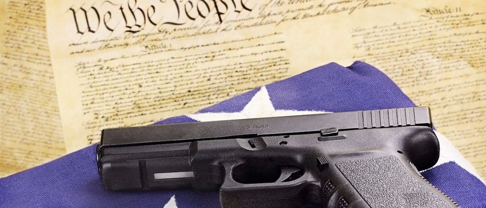 gun flag Second Amendment Constitutional Shutterstock/Stephanie Frey