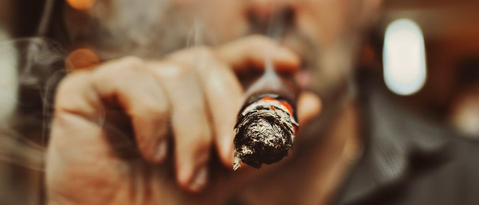 Cigar (Photo via Shutterstock)