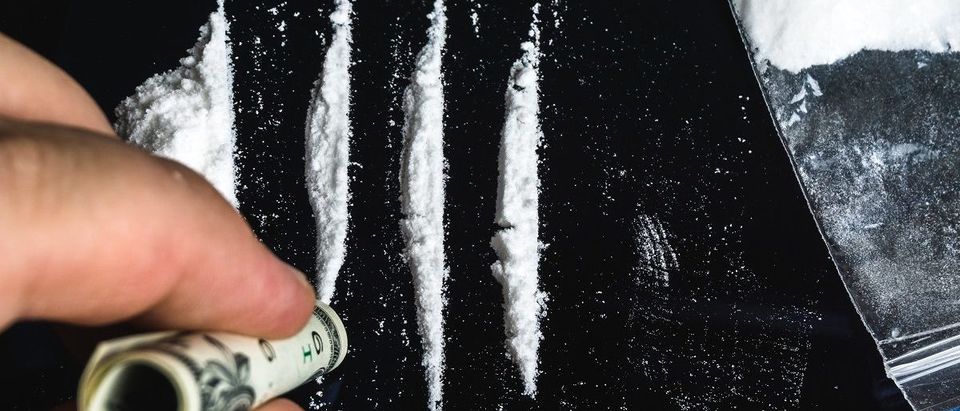 Drug Abuse. Hand of man holds rolled banknote for snorting line of cocaine powder. Problems with drugs concept. Top view. (DedMityay/Shutterstock) | Delaware Warns Of Fentanyl-Laced Cocaine