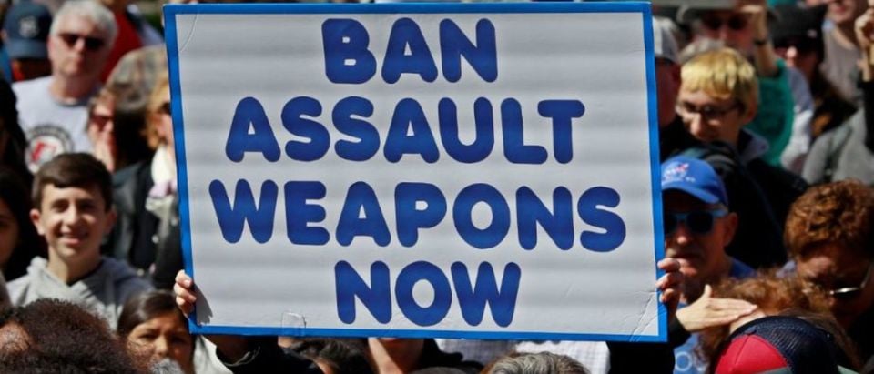 A protestor holds a sign during a "March For Our Lives" demonstration demanding gun control in Sacramento, California, U.S. March 24, 2018. REUTERS/Bob Strong | Dems Dont Want To Rile Up Gun Owners