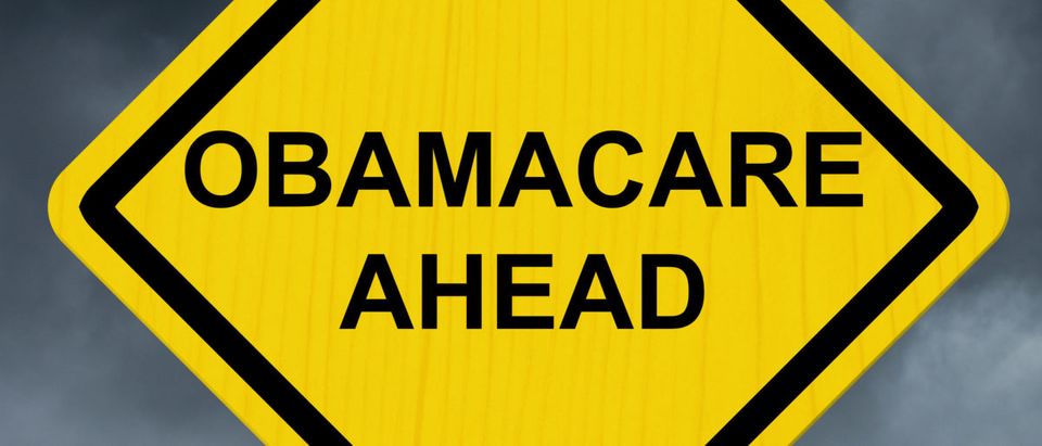Obamacare (Shutterstock/Karen Roach) | Alexander Murray Obamacare In Omnibus