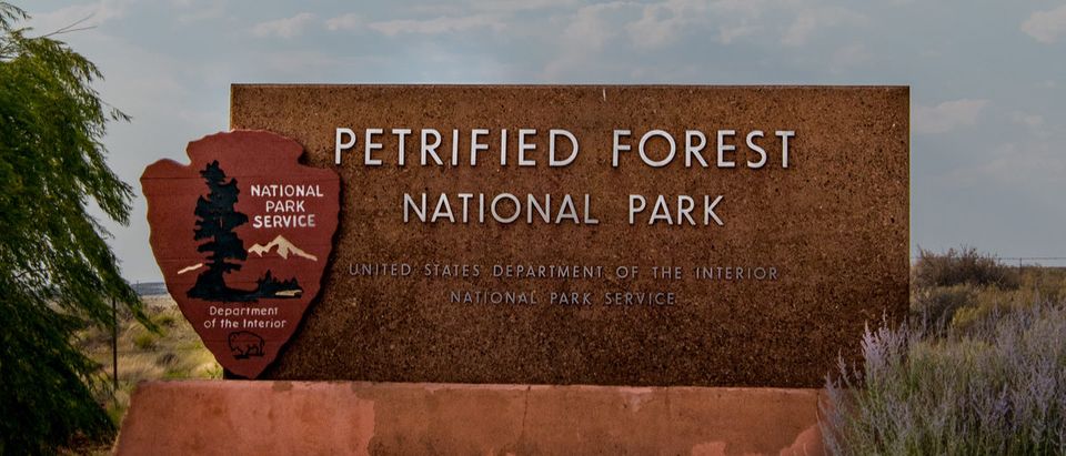 Petrified Forest Welcome Sign