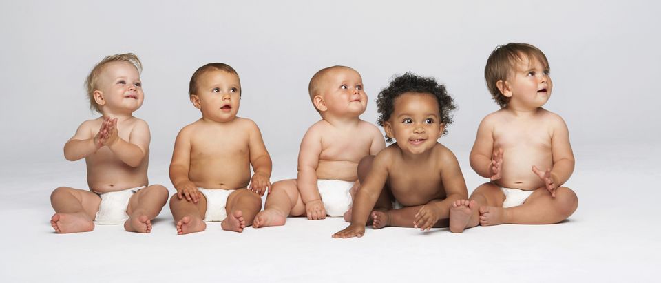 Row of babies sitting side by side looking away isolated on gray background. Shutterstock
