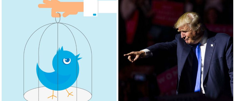 Left: Human hand holding a cage with a blue bird. [Shutterstock - Julia Tim] Right: MANCHESTER, NH - NOVEMBER 07: Republican presidential candidate Donald Trump points to supporters at the end of his rally at the SNHU Arena [Photo by Scott Eisen/Getty Images]
