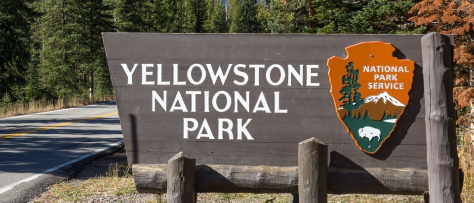 The federal government has a more than $12 billion backlog of facilities at national parks and other federal lands that are in dire need of repairs, according to Trump administration officials. (Source: blvdone/Shutterstock)