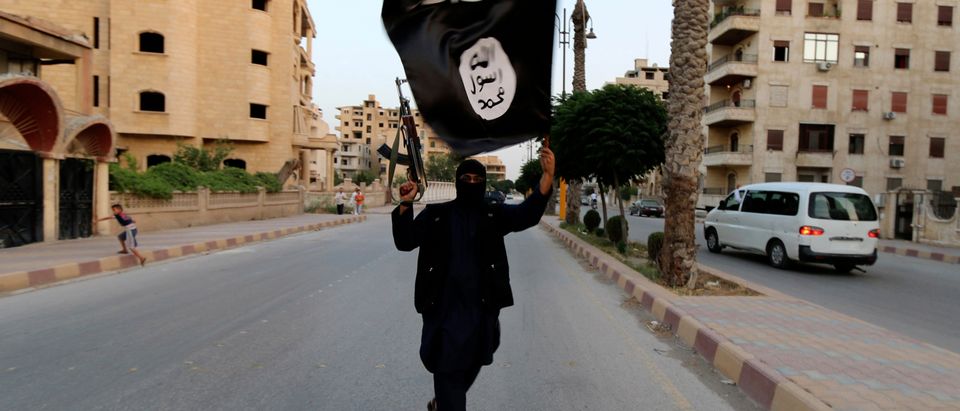 A member loyal to the ISIL waves an ISIL flag in Raqqa